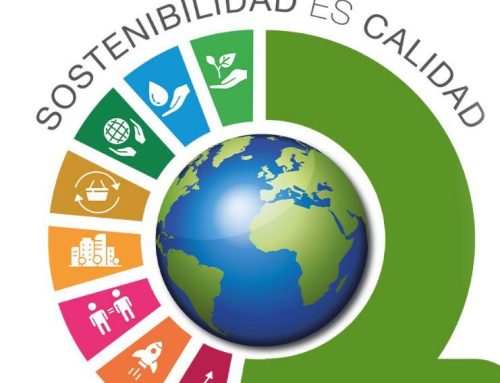 World Quality Day